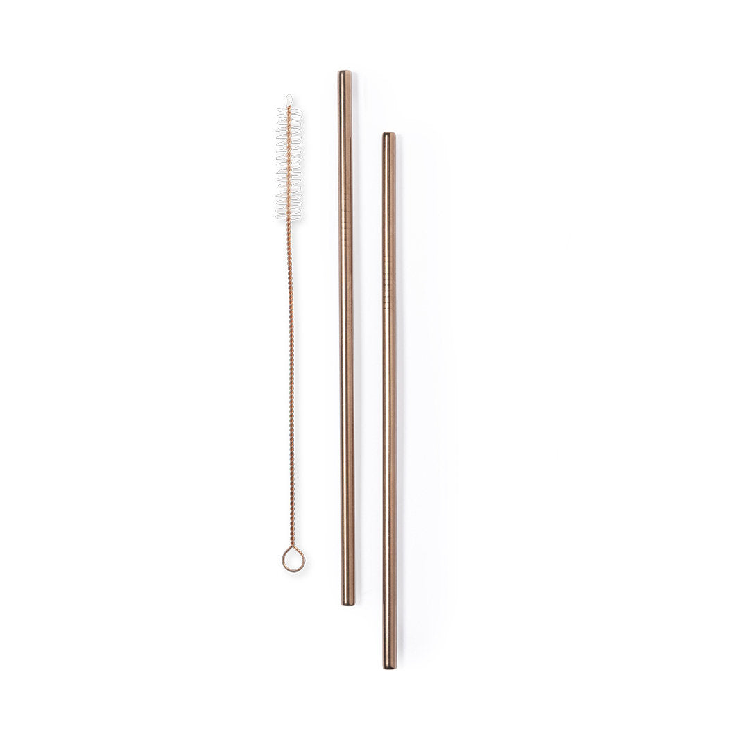 PACK PREMIUM  2 PAJITAS COBRE + LIMPIADOR REUTILIZABLE